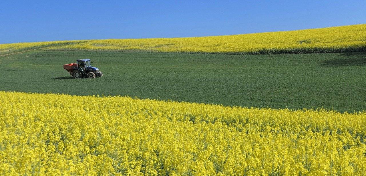 Farmer's field