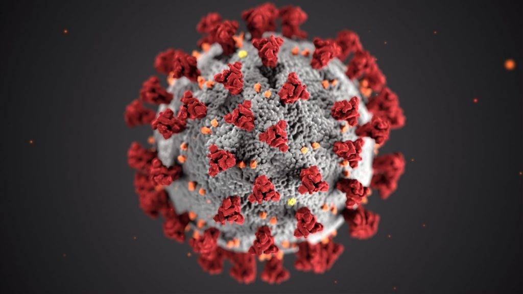 Coronavirus courtesy of the CDC